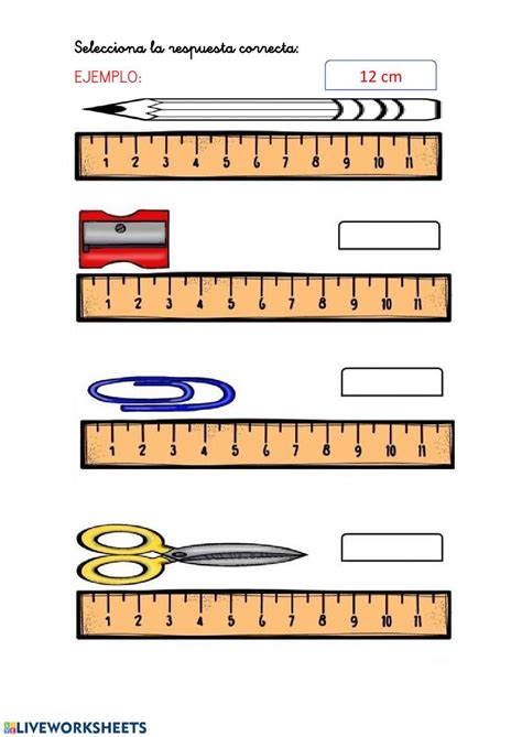 Ejercicio De Centimetros Basic Math Measurement Worksheets Math