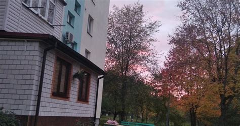 1 клас. ЯДС. Органи чуття | Тест на 8 запитань. ЯДС