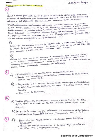 Soluciones Problemas Tipo Examen Ingenieria Genetica Pdf