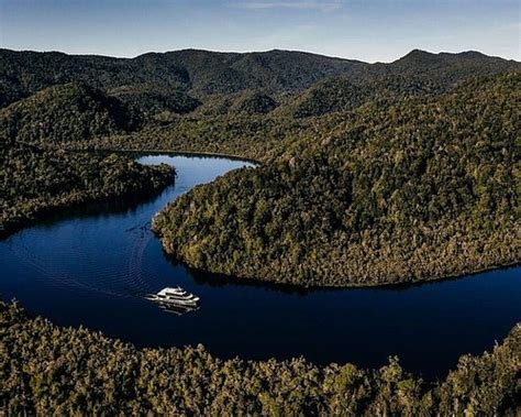 Gordon River Cruises Strahan Tutto Quello Che Cè Da Sapere