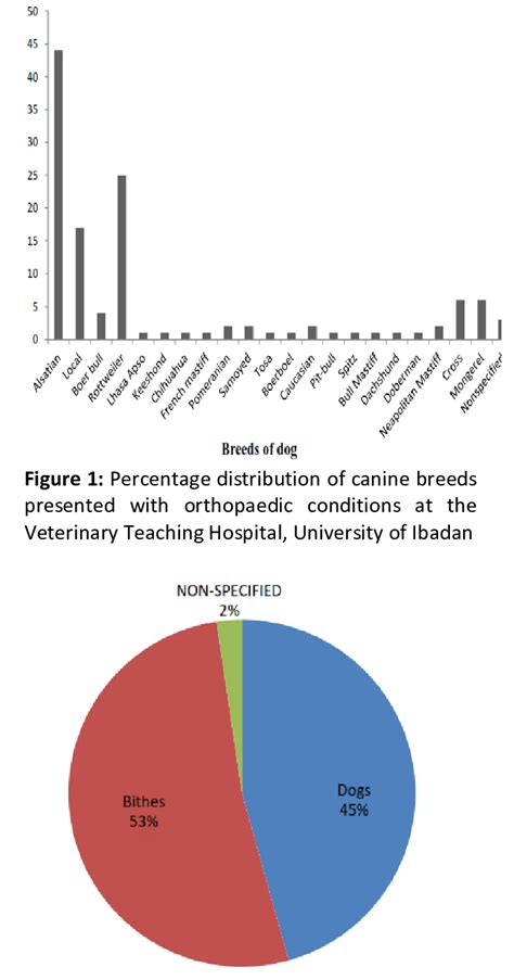 Sex Frequency Distribution Of Orthopaedic Conditions Presented At The