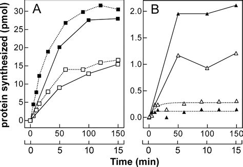 Cold Stress Induced De Novo Expression Of InfC And Role Of IF3 In Cold