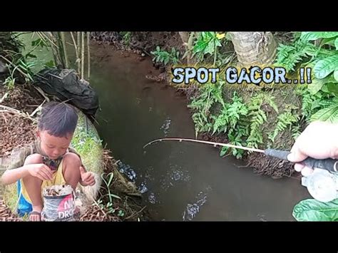 SERU Mancing Di Spot Selokan Parit Bareng Anak Lanang Strike Terus