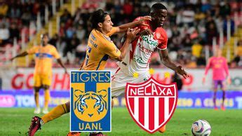 Dónde ver Tigres vs Necaxa Horario y canal de partido de Liga MX