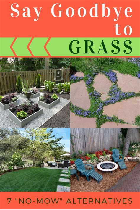 No Grass Yard No Grass Backyard Backyard Garden Xeroscaping Backyard