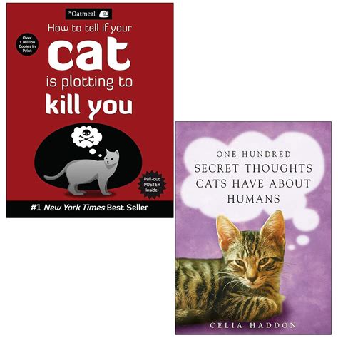 How To Tell If Your Cat Is Plotting To Kill You One Hundred Secret