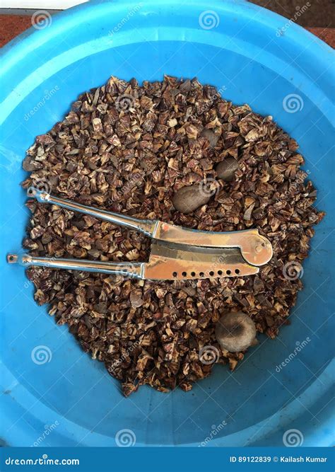 Paan Supari Stock Image Image Of Called Tobacco Piper 89122839