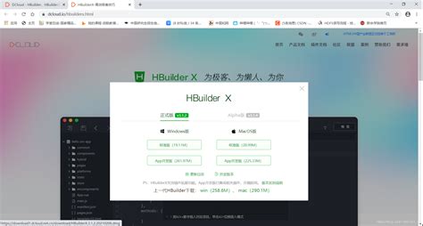 Hbuilderx 详细安装教程 Hbuildx官网 Csdn博客