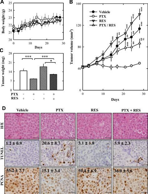 Figure From Resveratrol Attenuates The Anticancer Efficacy Of