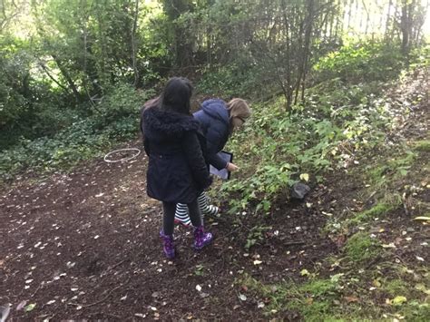 Outdoor Learning 022 Braidbar Primary 7 Blog