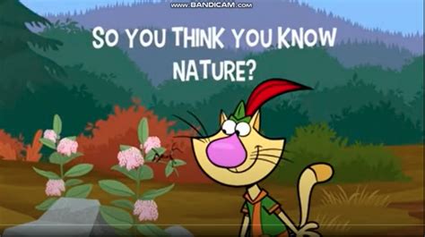 So You Think You Know Nature Nature Cat Wikia Fandom