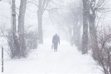 Winter Is Coming By Snow Poor Visibility In Heavy Snow Storm In Tree