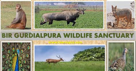 Bir Gurdialpura Wildlife Sanctuary - Learn UPSC