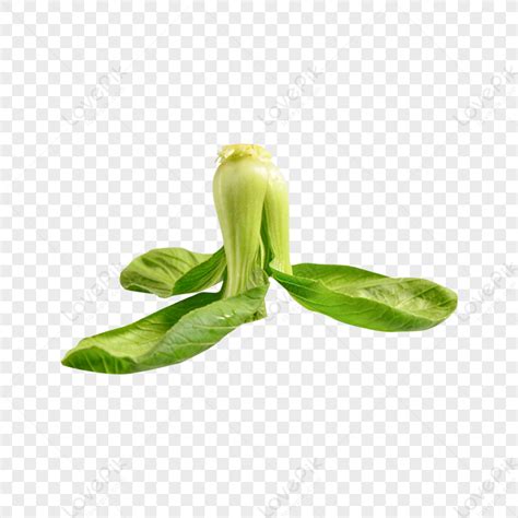 An Upside Down Fresh Greens One Piece Mature Vegetables PNG Free