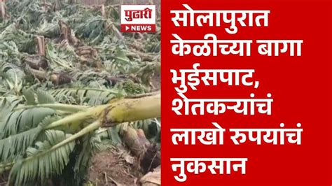 Pudhari News दोन एकरात असलेल्या 1900 केळीच्या झाडांचे नुकसान Solapur News Youtube