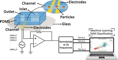 Schematic Diagram Of An Electrical Impedance Cytometer As Cells Flow