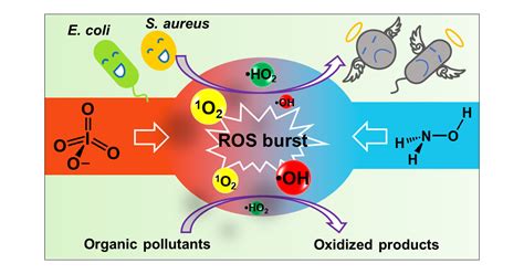 Targeted Antibacterial Strategy Based On Reactive Oxygen Off