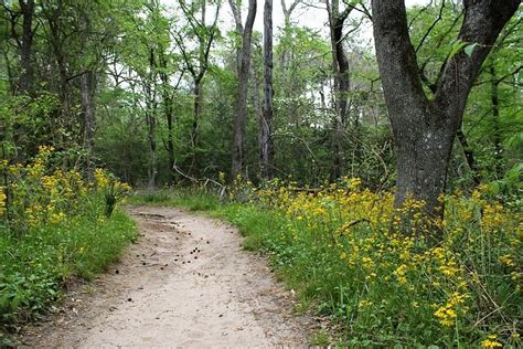 Huntsville State Park лучшие советы перед посещением Tripadvisor