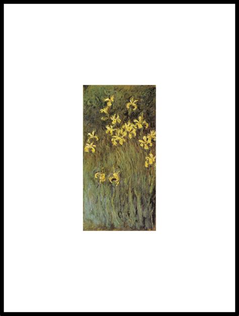 Les Iris Jaunes Claude Monet Original Tear Sheet Window Mounted Ready