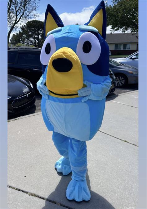 New Bluey Costume Rbluey