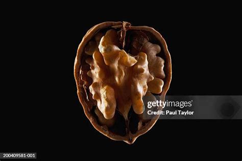 Empty Nut Shell Photos And Premium High Res Pictures Getty Images