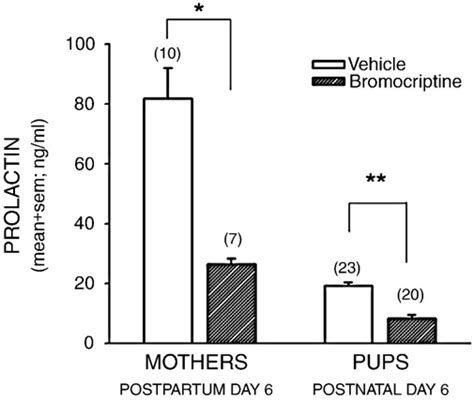 Concentration Of Prl In The Serum Of Bromocriptine Or Vehicle Treated