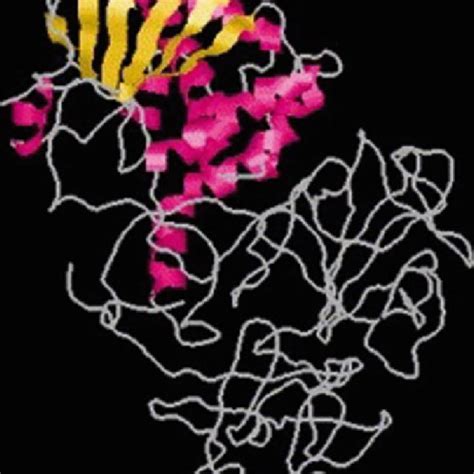 Structure of ricin (Adopted from Ler et al. 2006) | Download Scientific Diagram