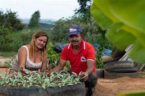 Pequenos Produtores Rurais T M Queda De At Da Renda Na Pandemia