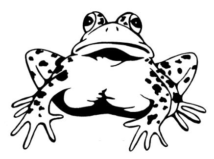 Frantic Stamper Cling Mounted Rubber Stamp Lg Frog