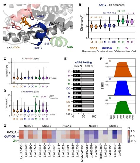 When Two Become One Conformational Changes In FXR RXR Heterodimers