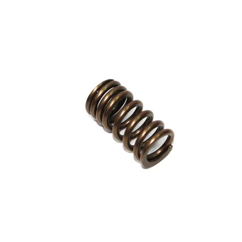 Psychic Intake Valve Spring Team Xu Is Ebay