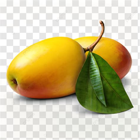 Mango Isolated On White Mango Mango Isolated Mango Fruit Png