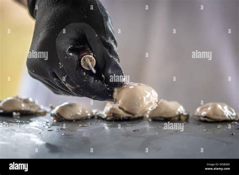 Us National Oyster Festival In St Mary S County Md Stock Photo Alamy