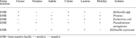 Biochemical Test Chart For Identification Of Bacteria Biochemical