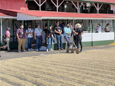 Alajuela Coffee Plantation Guided Tour With Tasting Getyourguide