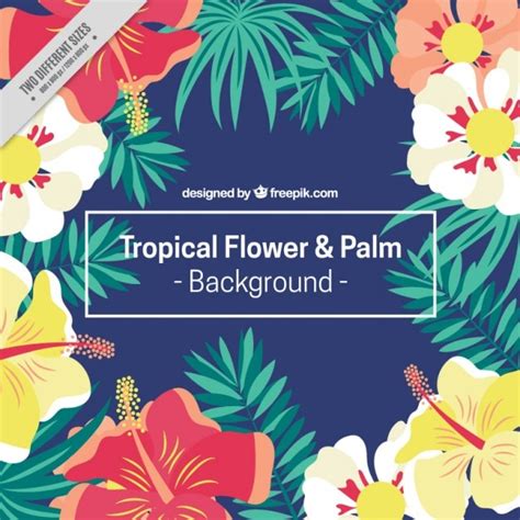 Exotic Flowers Free Vector Graphics Everypixel