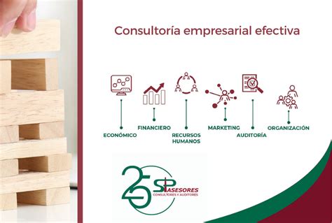 Beneficios De La Consultoría Empresarial Para La Empresa Spasesores