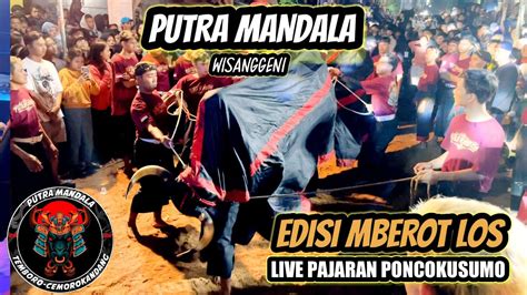 Mberot Horeg Putra Mandala Wisanggeni Live Pajaran Poncokusumo