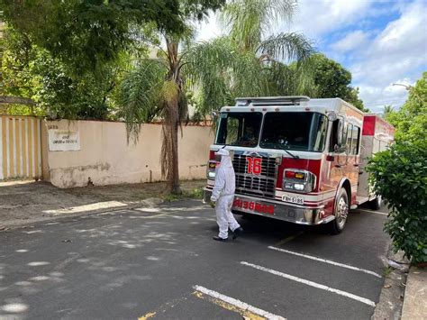 Idoso de 93 anos morre após ataque de abelhas em Piracicaba Comando