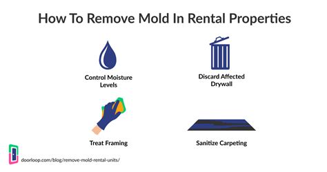 Mold In Rental Properties Guide To Removing And Preventing