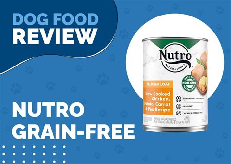 Nutro Grain-Free Dog Food Review 2024: Recalls, Pros, and Cons | Hepper