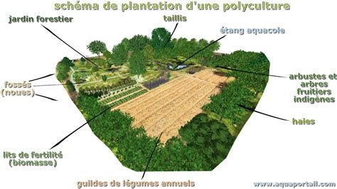 Polyculture définition et explications