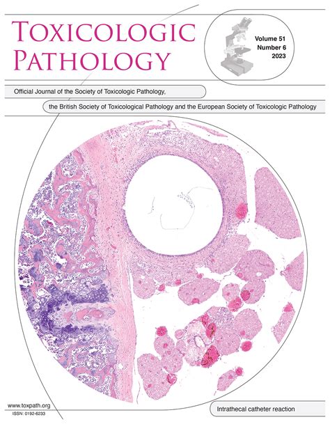 Toxicologic Pathology Sage Journals