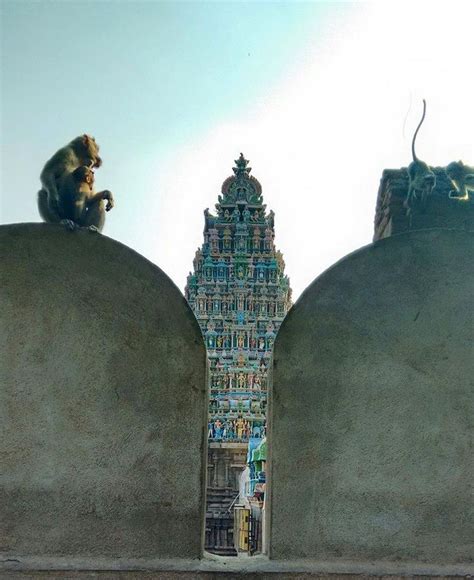 two monkeys sitting on top of cement structures