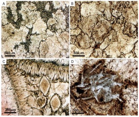 Geosciences Free Full Text Tectono Sedimentary Evolution Of The