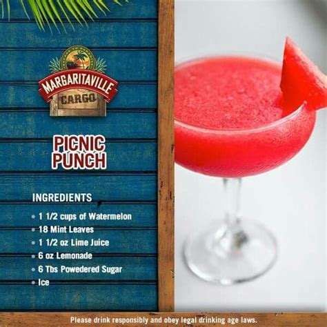 Frozen Margarita Machine Recipe Loversmilo