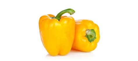 CAPSICUM - Yellow Pepper | Egypt Garden | Import & Export