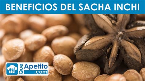 8 Propiedades Y Beneficios Del Del SACHA INCHI QueApetito YouTube