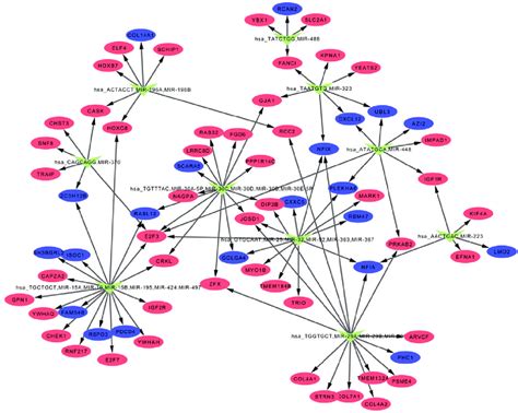 Gene Regulatory Network For The Differentially Expressed Genes Green