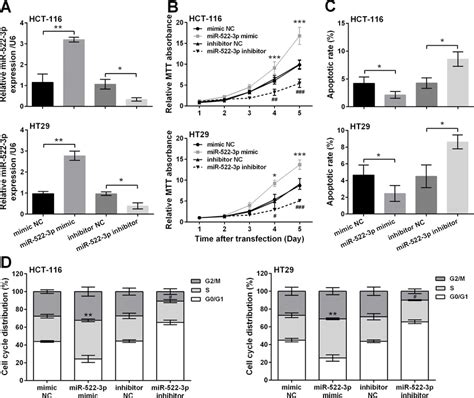 MiR 522 3p Overexpression Promoted Cell Proliferation And Repressed